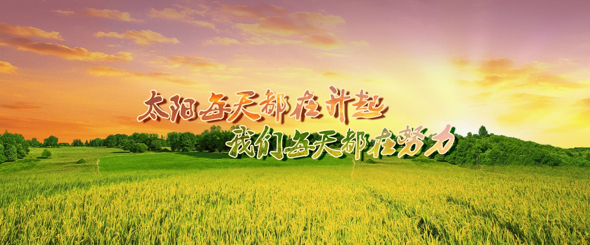 球友会足球直播在线观看免费