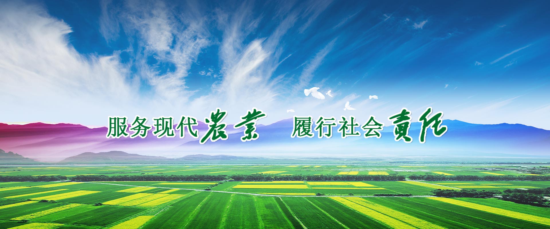 qy球友会官网