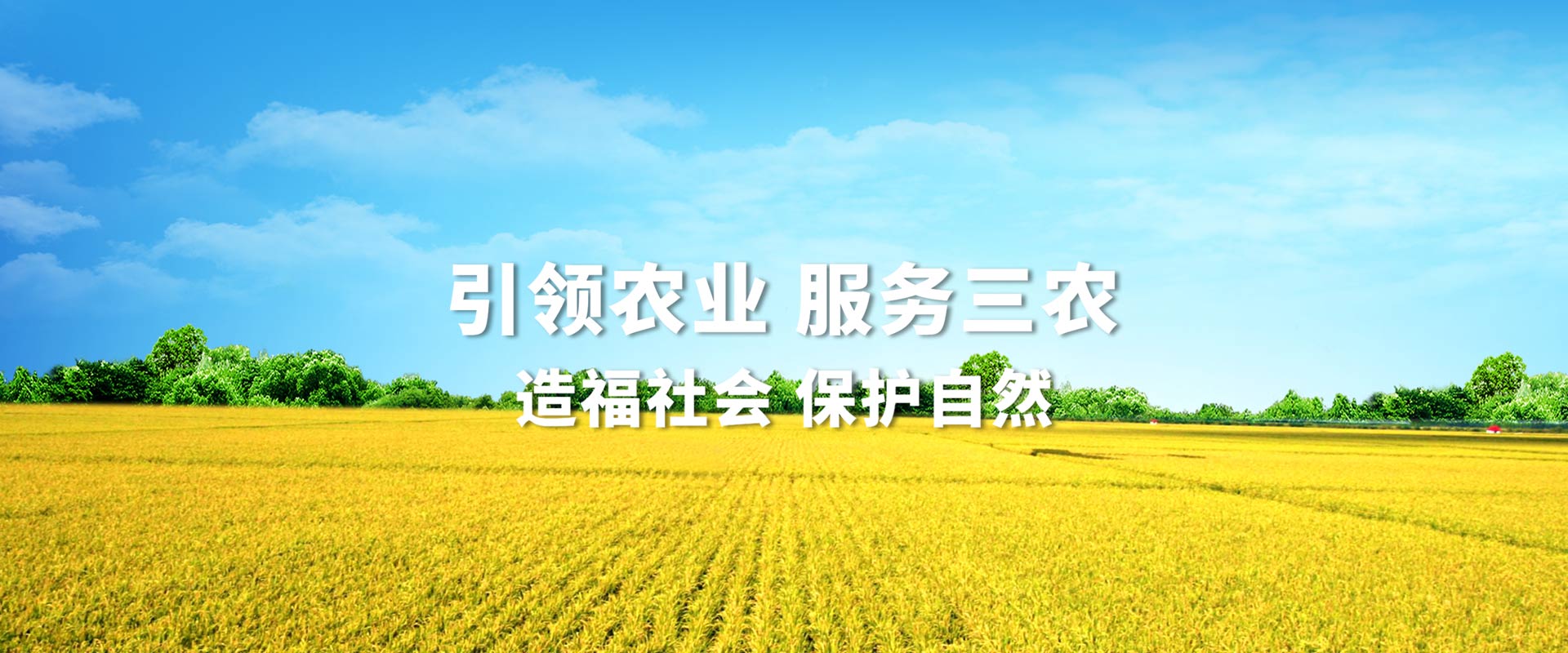 球友会体育直播